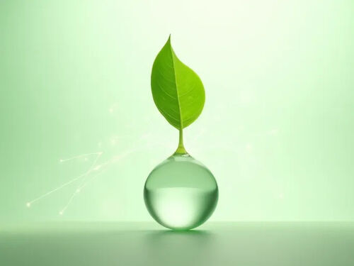 latest company blog about Hydrior Introduces Sustainable Ingredients for Natural Beauty Market