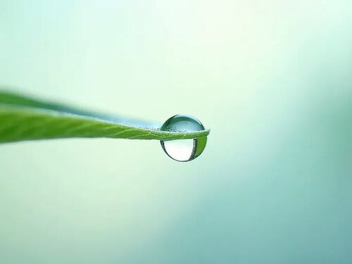 latest company blog about Science Reveals Key to Radiant Skin Hydration and Serums