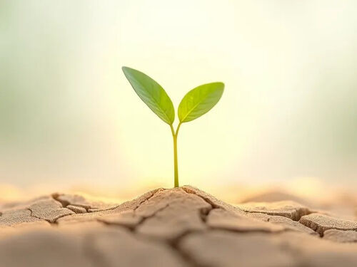 latest company blog about Scientists Explore Regenerative Aesthetics for Antiaging Breakthroughs