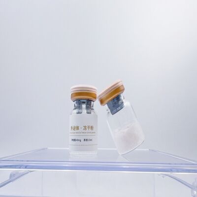 Harga yang bagus Anti-penuaan Anti-kisut Exosomes Dalam Perawatan Kulit Memutihkan Sel Stem Exosome on line