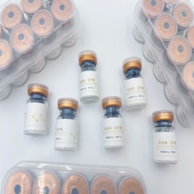 CD81 Freeze Dried Powder Exosomes Skin Care Products Exosome Regenerative Complex Facial Serum