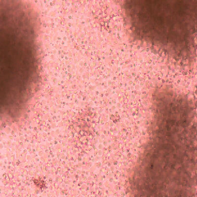 Bon prix Des cellules immunitaires innovantes redéfinissent les horizons thérapeutiques en ligne