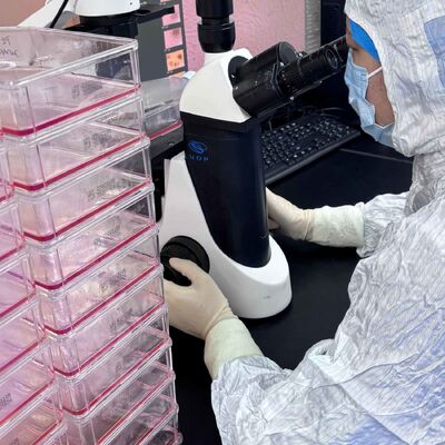 Giá tốt. Tinh chất Exosome XinMiXue cho mắt | Làm dịu mắt khô, giảm mệt mỏi, phục hồi sức sống cho đôi mắt của bạn trực tuyến