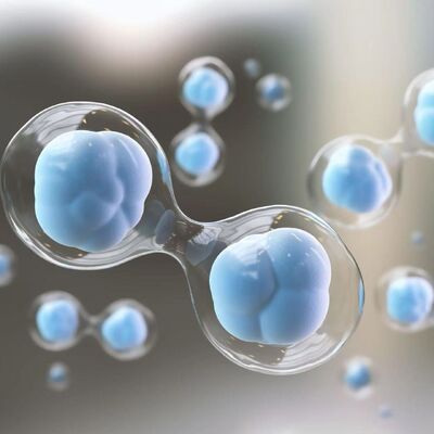 Pharma Cosmetics Grade Stem Cell Extract with 180-181 °C Fusing Point and HPLC Analysis for Cosmetic Raw Material