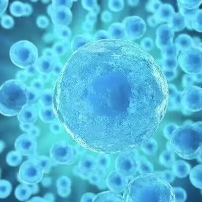 Bon prix Utilisation esthétique Exosome approuvé par la FDA Viabilité élevée Compatible avec les cellules cutanées en ligne