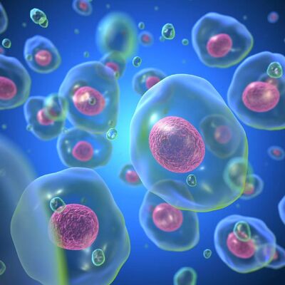 Bon prix Solution de conservation cellulaire Exosomes Prélèvement clinique d'échantillons Exosomes Clairs Exosomes liquides stériles en ligne