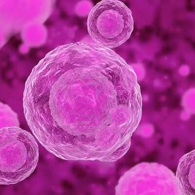 Buen precio Materias primas cosméticas estables y versátiles Cas 23434-88-0 para un rendimiento consistente en línea