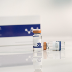 Dobra cena. Fibroblastowe egzosomy przeciwzmarszczkowe odmładzające skórę aktywują regenerację kolagenu, łagodzą drobne linie i napinają, aby uzyskać składniki przeciwstarzeniowe do pielęgnacji skóry w Internecie